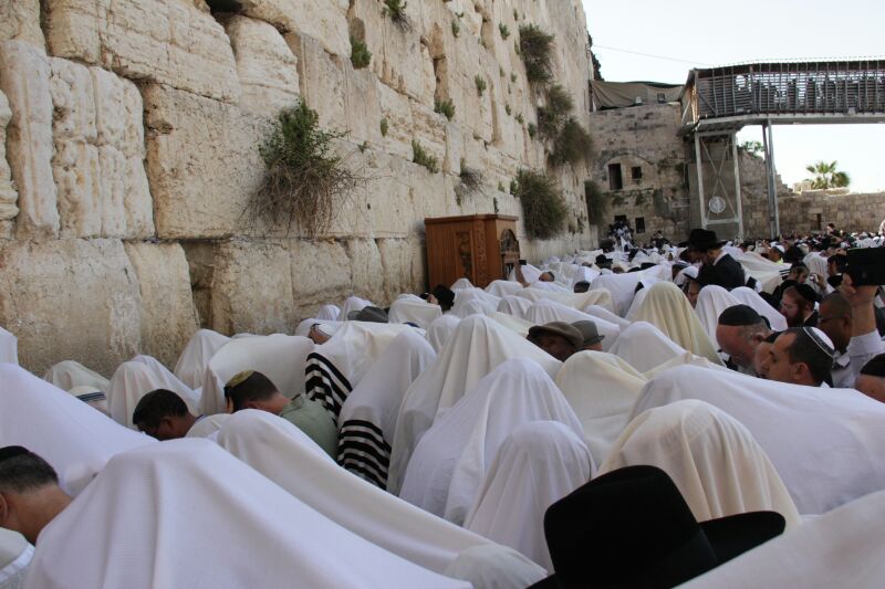 יְבָרֶכְךָ ה' וְיִשְׁמֶרְךָ: • תיעוד ענק: ברכת כהנים בכותל המערבי