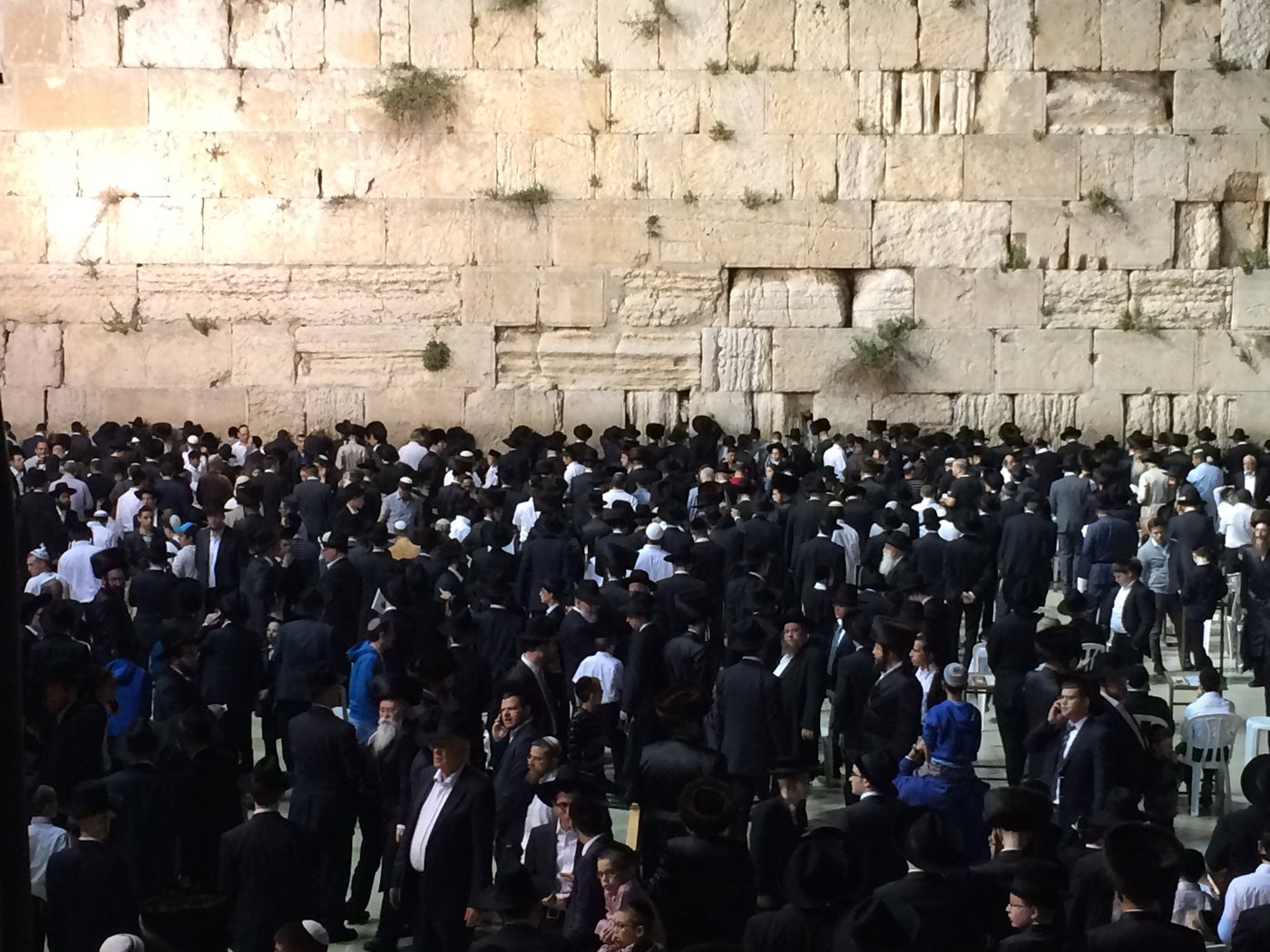 קהל האלפים בכותל הלילה