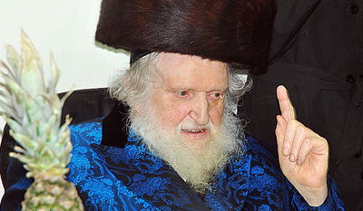 הראב"ד הגר"מ שטרנבוך