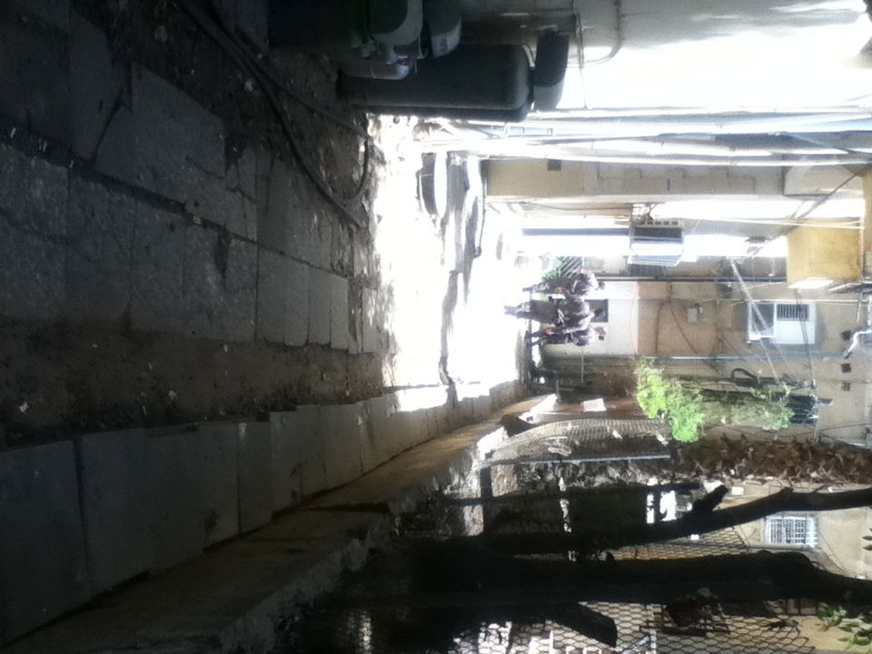 פתח תקווה: מרדף אחר גנבי רכב הסתיים בתאונה