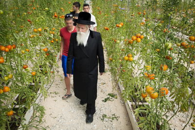 הרב יצחק דוד גרוסמן