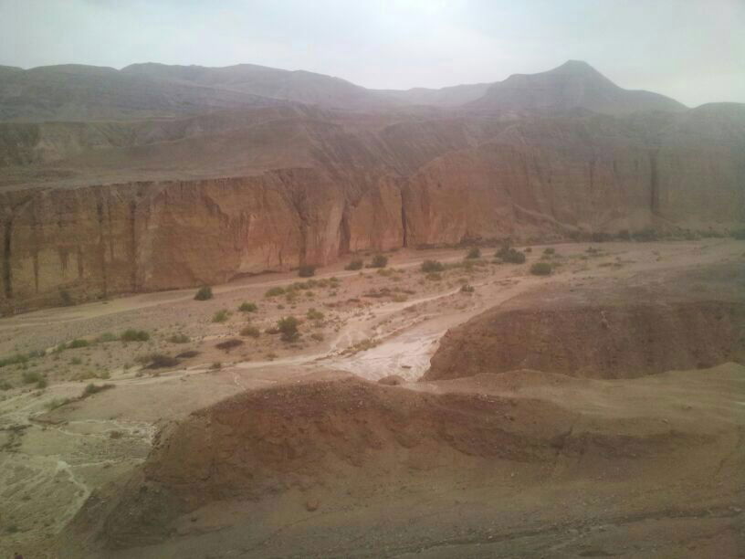 צפו: הנחלים זורמים בדרום הארץ