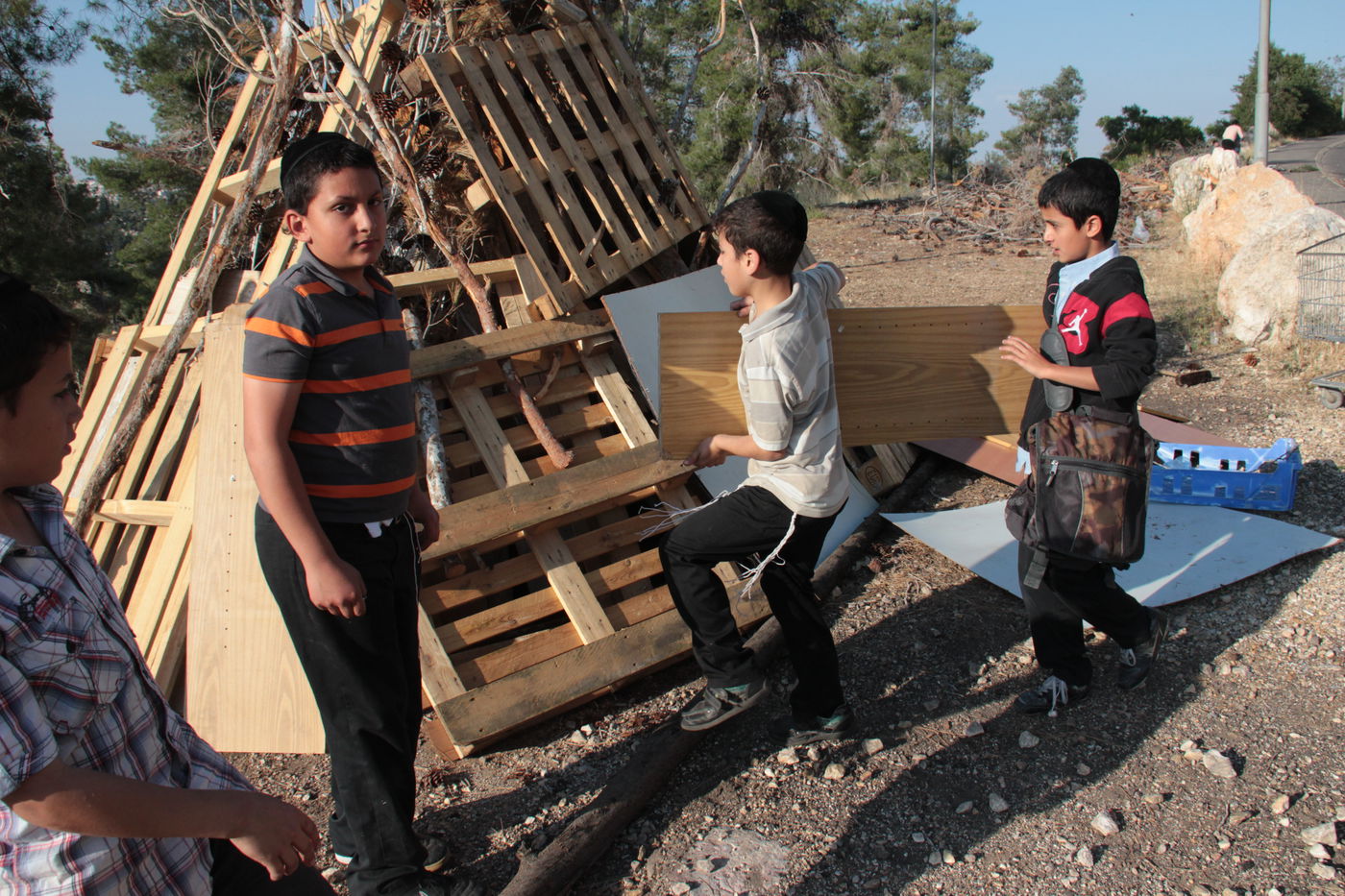 ילדי ירושלים אוספים עצים לל"ג בעומר; גלריה מיוחדת