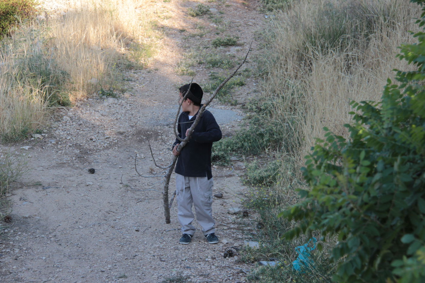 ילדי ירושלים אוספים עצים לל"ג בעומר; גלריה מיוחדת