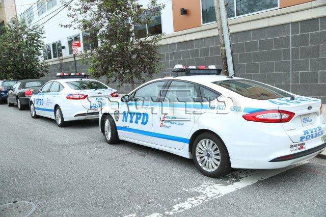 אלפי נשים בכינוס מיוחד • גלריית ענק