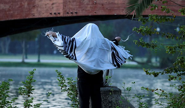 רצוננו לראות את מלכנו / מאמר מיוחד לשבועות