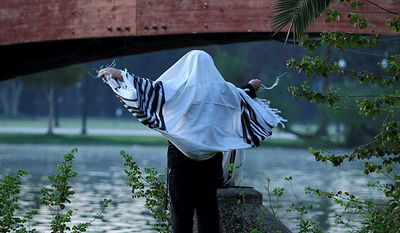 רצוננו לראות את מלכנו / מאמר מיוחד לשבועות