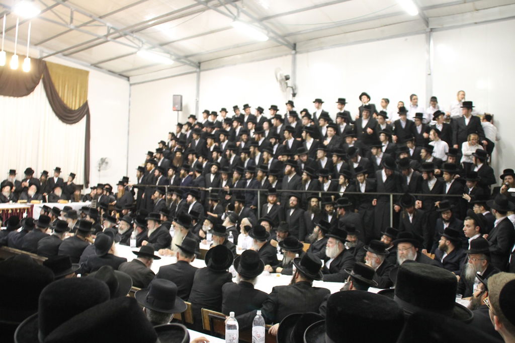 שמחת האירוסין לנכדי האדמו"ר מקרעטשניף • גלריה