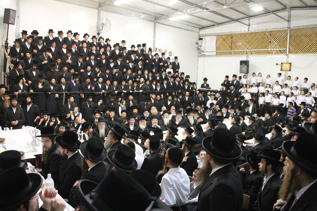 שמחת האירוסין לנכדי האדמו"ר מקרעטשניף • גלריה