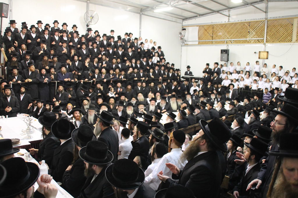 שמחת האירוסין לנכדי האדמו"ר מקרעטשניף • גלריה