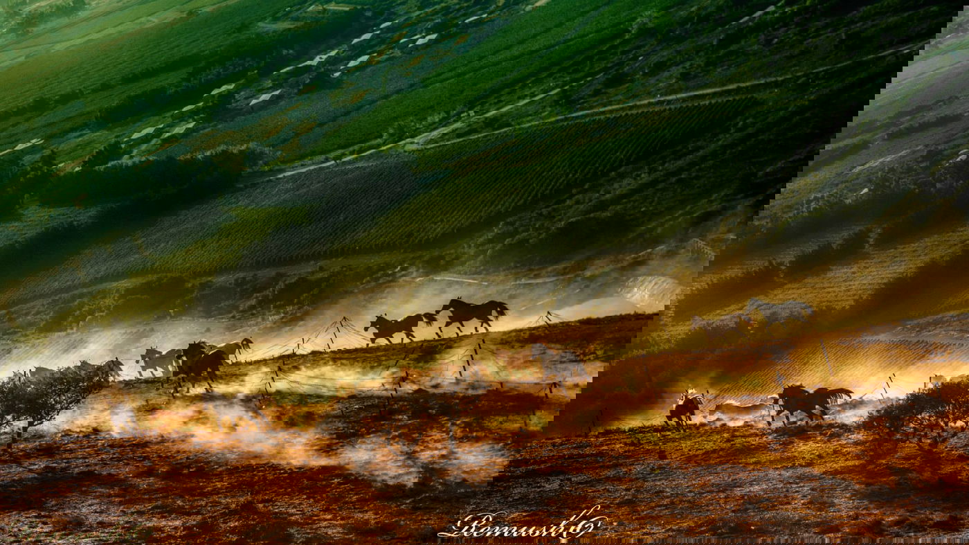 בלוג הצילום: תמונות נוף מדהימות