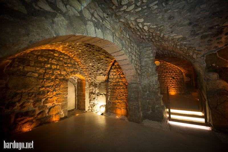 חגיגה בכותל: המפכ"ל והרב עמאר חגגו עם גנאדי בוגלובוב