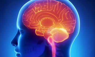 כך המוח שלנו מרמה אותנו