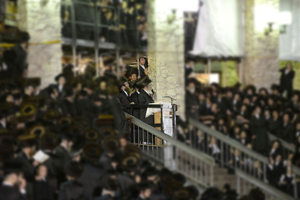 צפו בגלריה: מעמד ה"באגלייטאן" בסאטמר