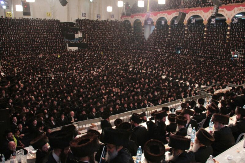 חתונה נוסח בעלזא: שמחה וריקודים אל תוך הלילה; צפו