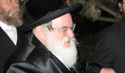 האדמו"ר מויז'ניץ