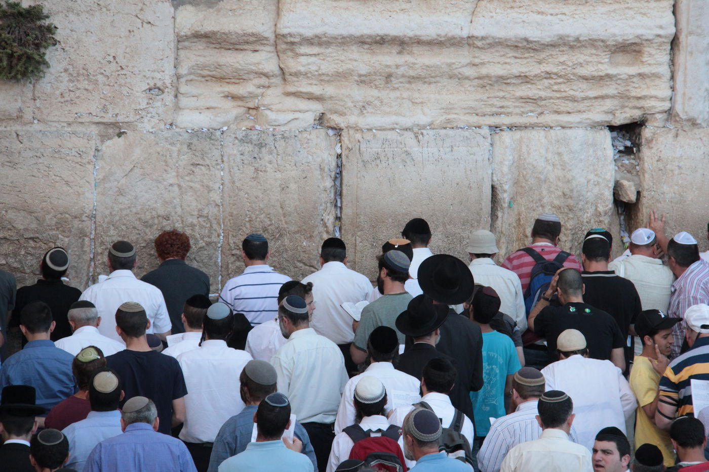 גלרית ענק: תפילת ההמונים בכותל המערבי למען שלושת החטופים