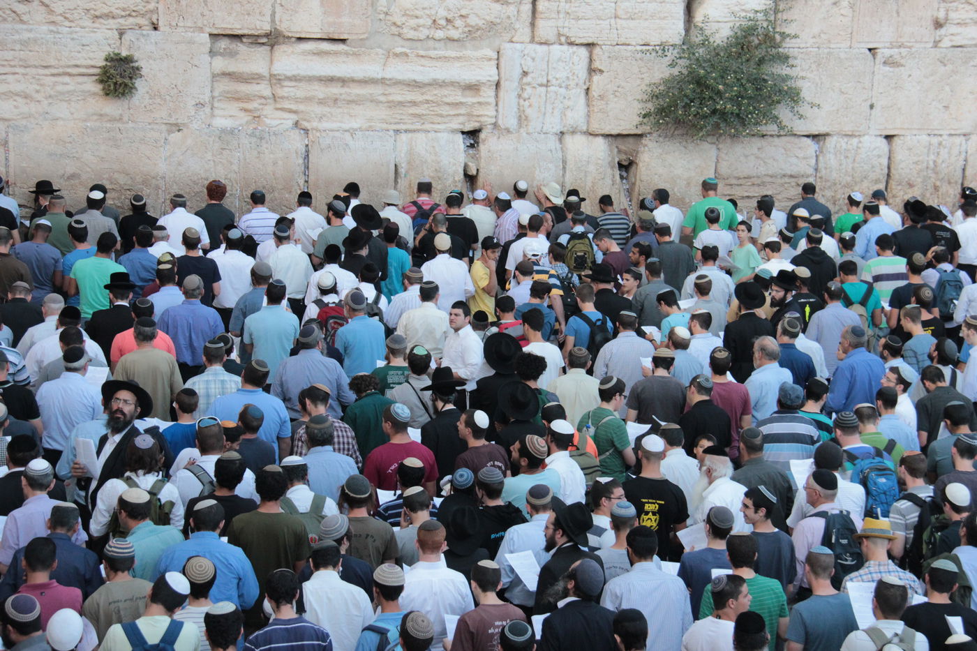 גלרית ענק: תפילת ההמונים בכותל המערבי למען שלושת החטופים