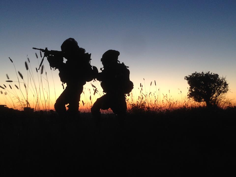 פעילות כוחות צה"ל