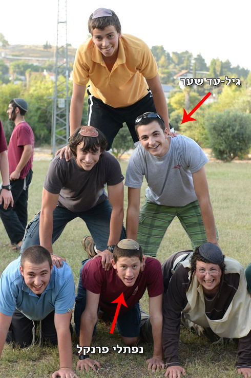 גיל-עד שאער ונפתלי פרנקל