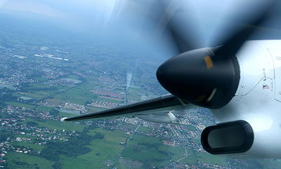 אזרח ישראלי נהרג בהתרסקות מטוס בניו יורק