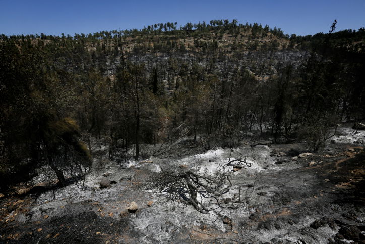 השריפה הגדולה בירושלים • היום שאחרי