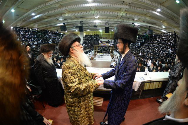 שבע ברכות אחרון בצאנז • גלריה