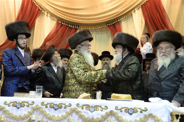 שבע ברכות אחרון בצאנז • גלריה