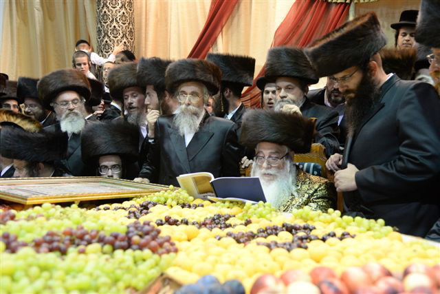 שבע ברכות אחרון בצאנז • גלריה