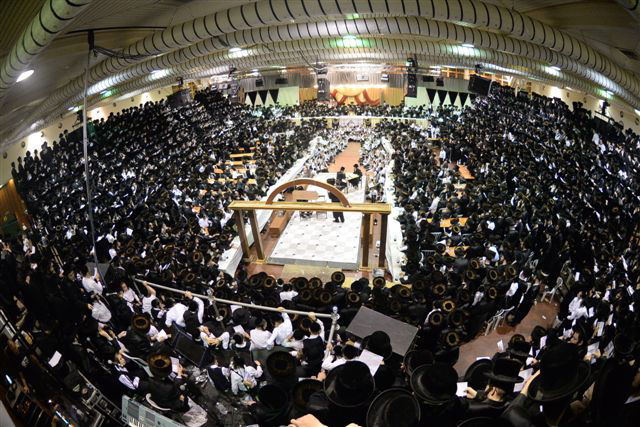 שבע ברכות אחרון בצאנז • גלריה