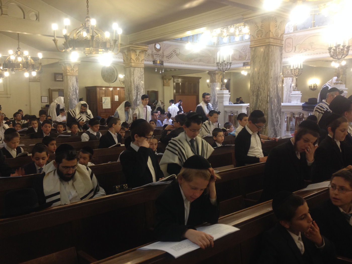 אנטוורפן: אלף ילדים למדו עשרות אלפי משניות