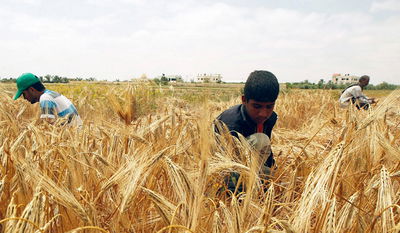 אילוסטרציה