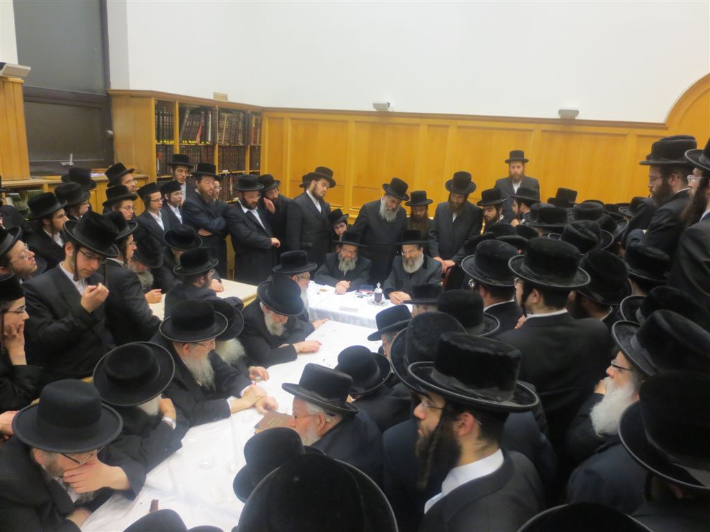 גלריה: חסידי בעלזא בבלגיה קיבלו את פניו של האדמו"ר מסדיגורה