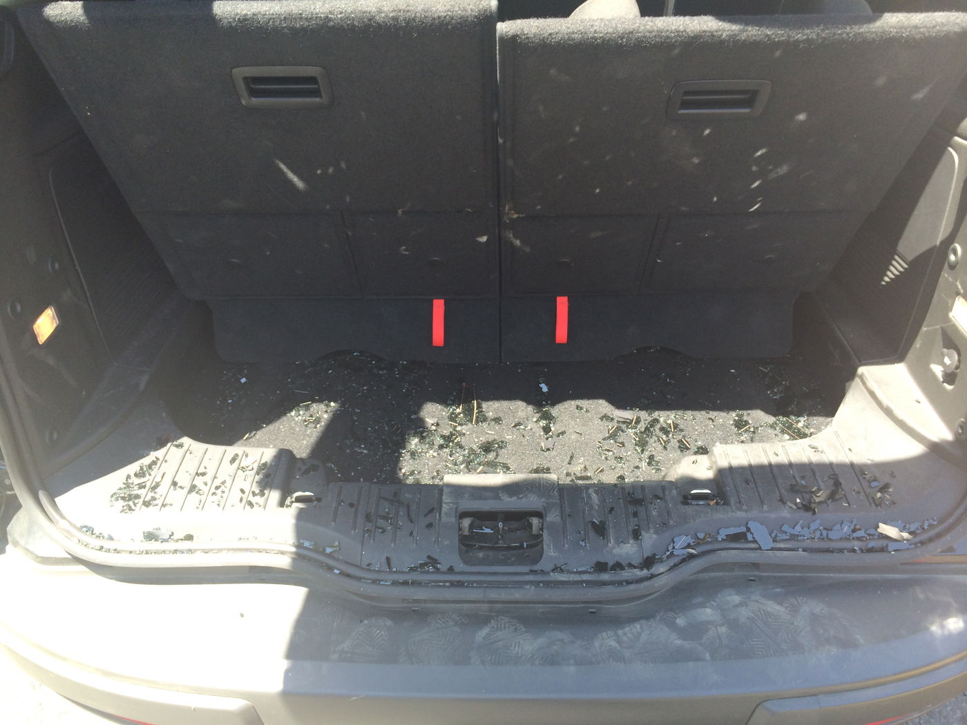 "לחצתי על הגז עד הסוף, דרסתי כמה ערבים וניצלתי"