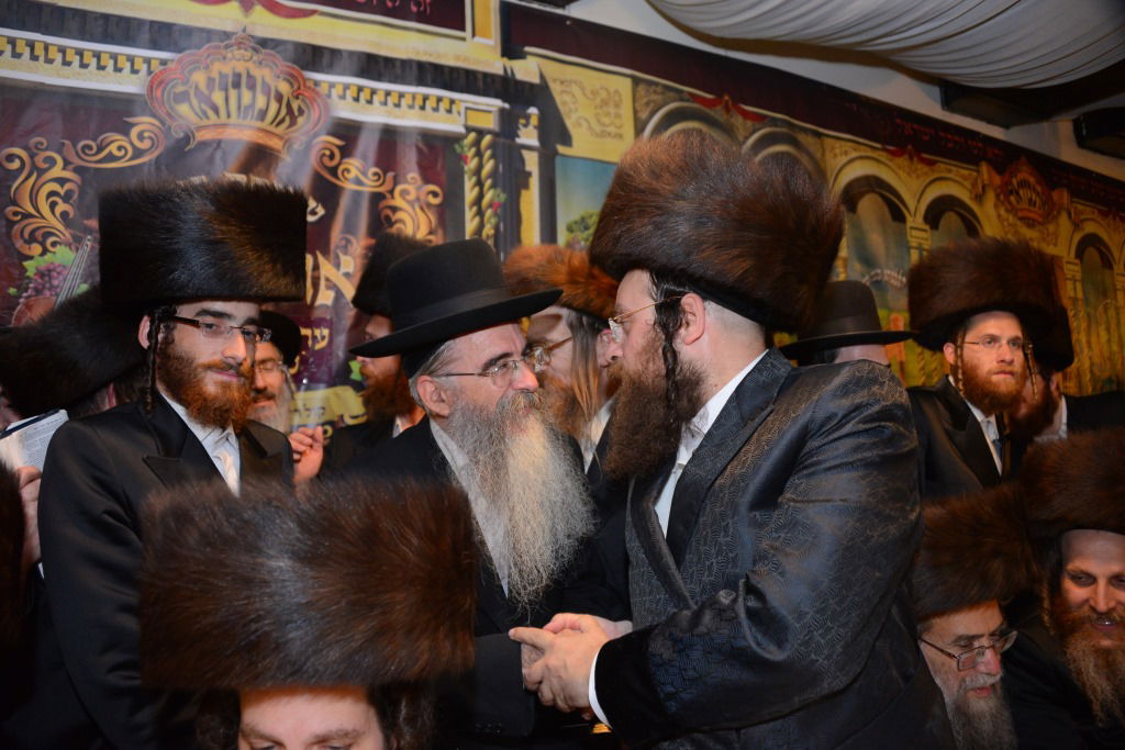 גלריה: חתונת נינת האדמו"ר מערלוי