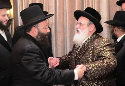 הרב שמואל רבינוביץ חיתן, כל המי ומי התייצבו • גלריה