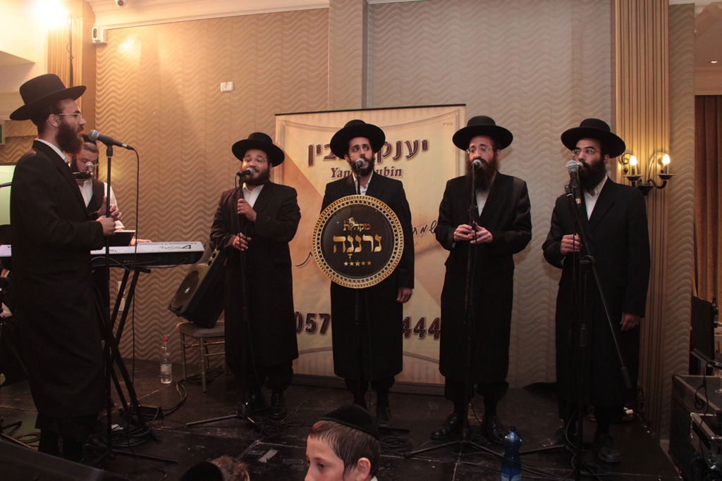 הרב שמואל רבינוביץ חיתן, כל המי ומי התייצבו • גלריה