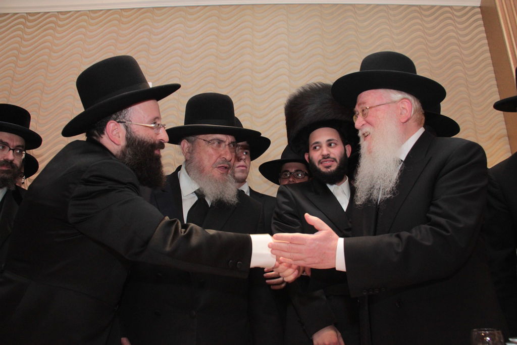 הרב שמואל רבינוביץ חיתן, כל המי ומי התייצבו • גלריה