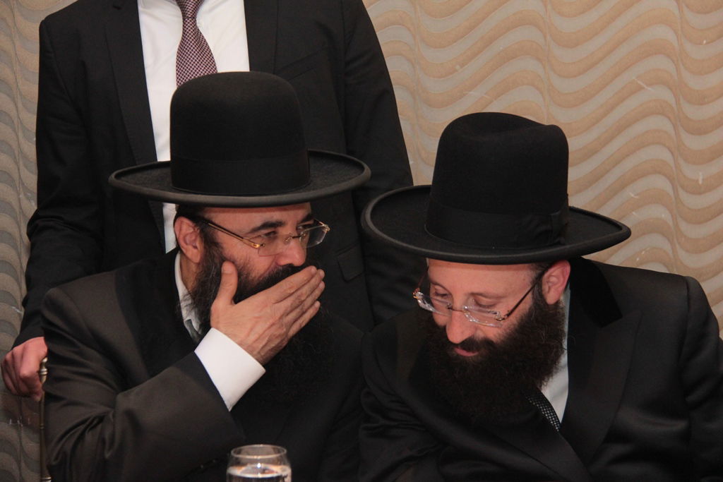 הרב שמואל רבינוביץ חיתן, כל המי ומי התייצבו • גלריה