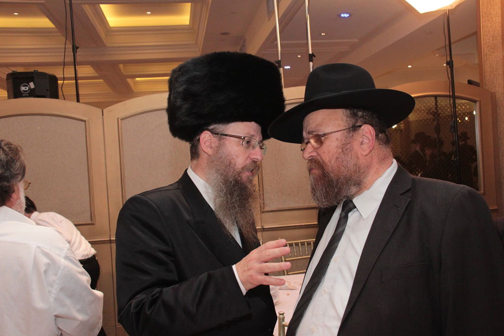 הרב שמואל רבינוביץ חיתן, כל המי ומי התייצבו • גלריה