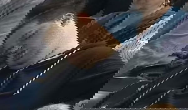 צחקו עליו. עכשיו הוא משיב מלחמה