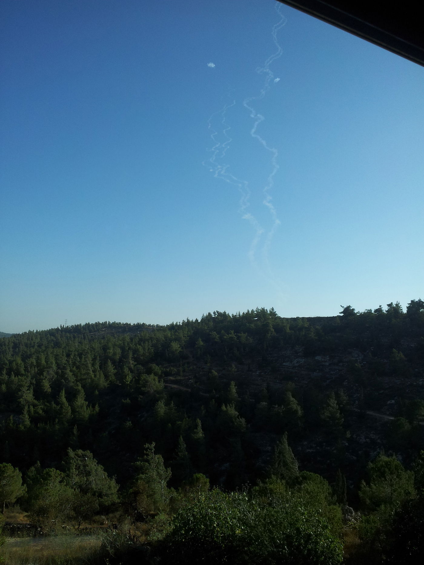 וכך מהיער במבשרת.