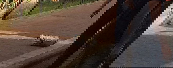 רסיס בבני ברק