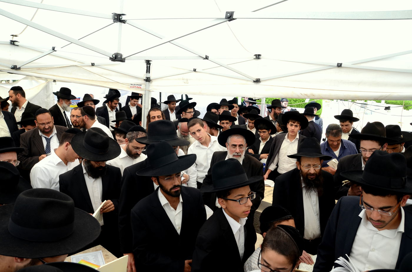 תיעוד: הילולת הגאון רבי בן ציון אבא שאול זצ"ל