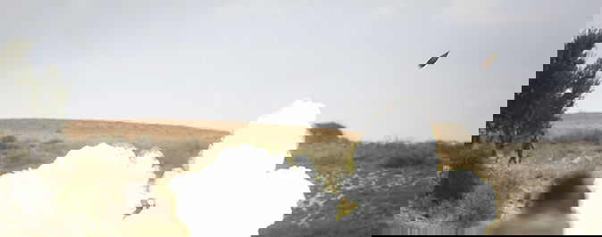 צה"ל תקף בית חולים בעזה: שימש את המחבלים לירי