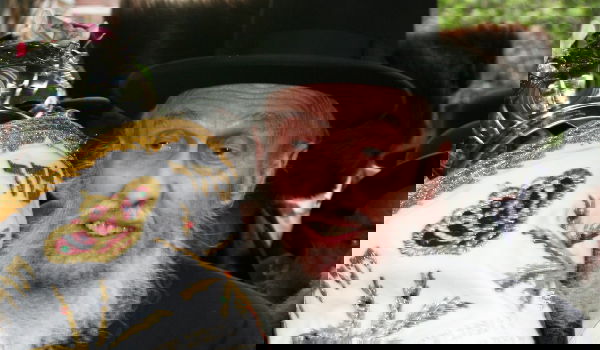 הרב ישכר דוב פרידמאן ז"ל