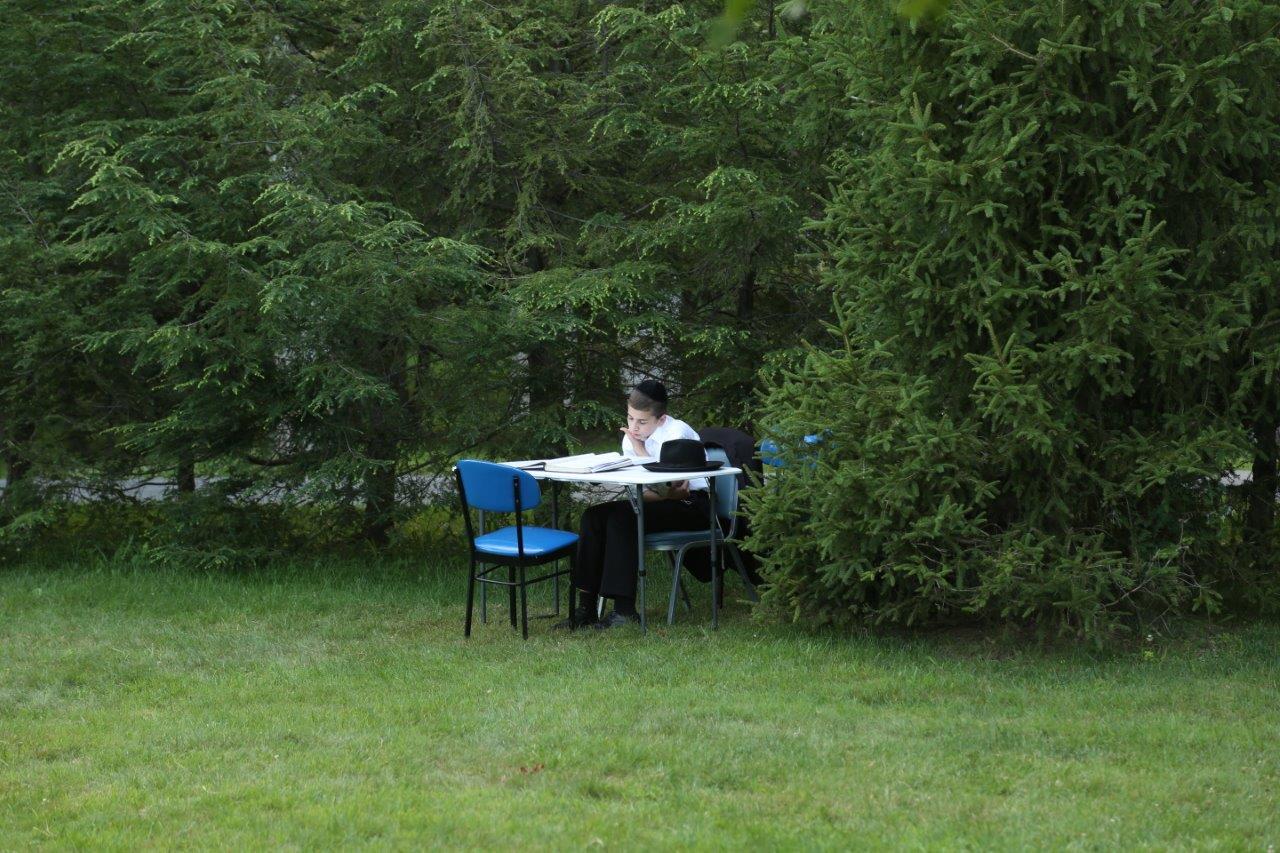 ובינתיים באמריקה: נופשים ולומדים