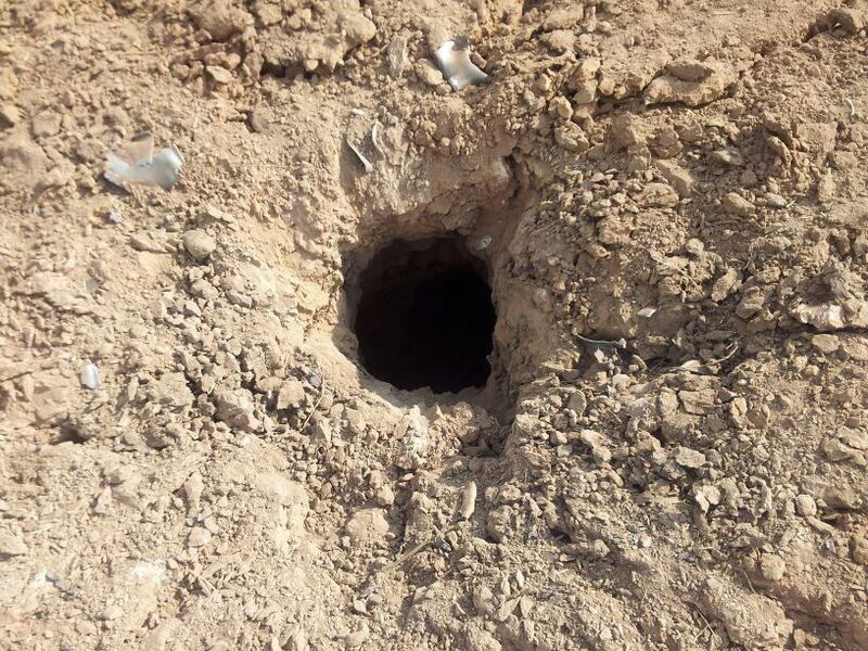 נפילת הרקטה בפתח תקווה: "יכלה לגרום לנפגעים רבים"