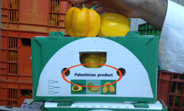 פלפלים "תוצרת פלסטין"