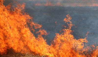 תיעוד: כך נראית נפילה בשטח פתוח
